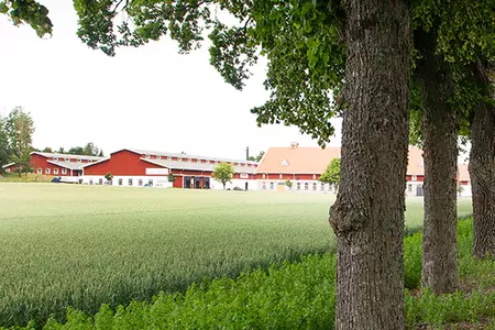 New Joint Tape factory in Sweden