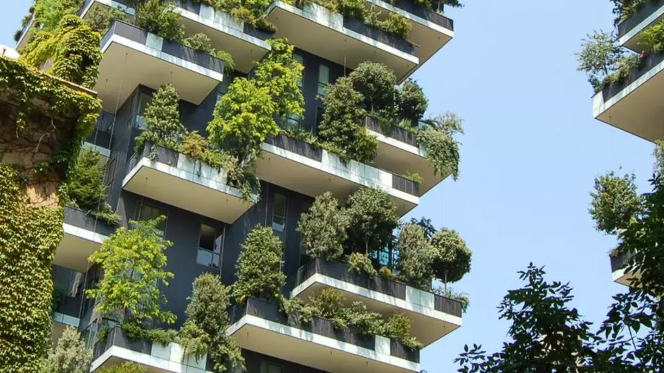 Sustainability