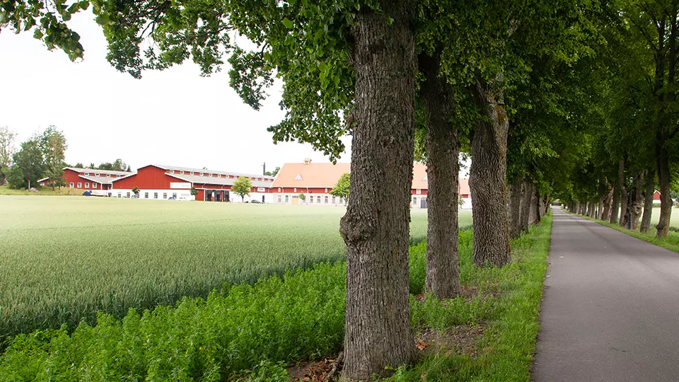 New Paper Tape factory in Sweden